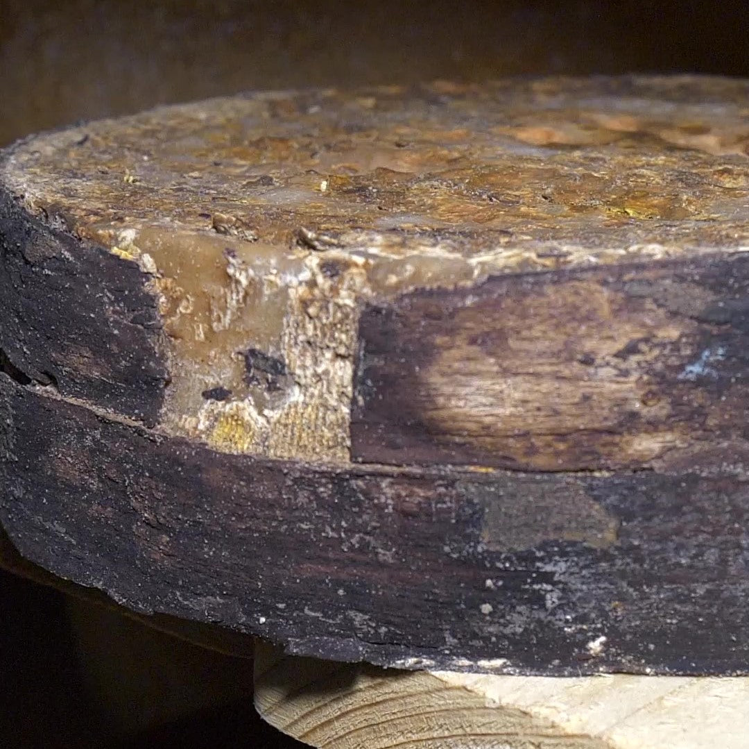 Le Chèvre Sanglé